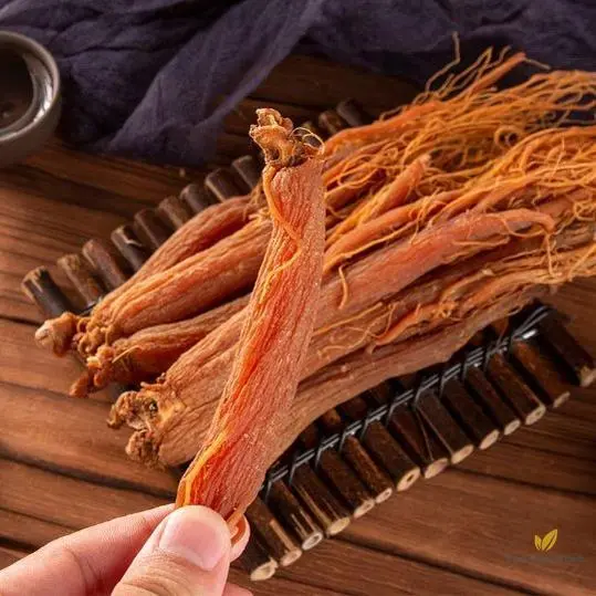Korean Red Ginseng